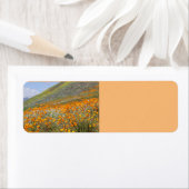 California Poppy Fields Rücksendeadressen-Aufklebe (Insitu)