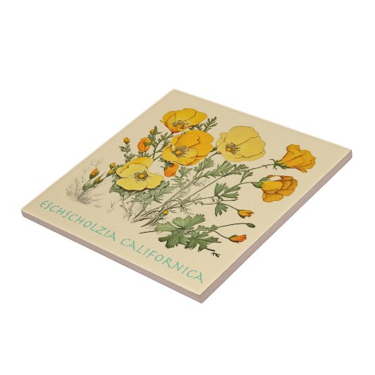 California Poppy Fliese (Seite)