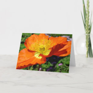 California Poppy Grußkarte Karte