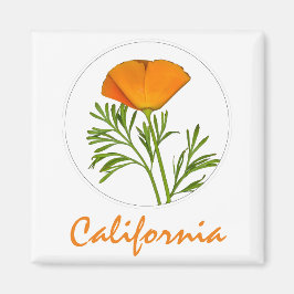 California Poppy in einem Zirkel, "California" Tex Magnet