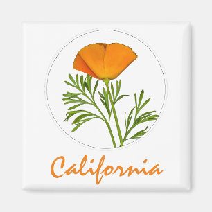 California Poppy in einem Zirkel, "California" Tex Magnet