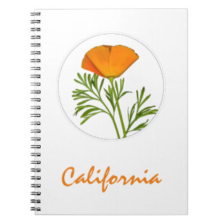 California Poppy in einem Zirkel, "California" Tex Notizblock