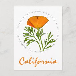California Poppy in einem Zirkel, "California" Tex Postkarte