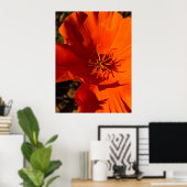 California Poppy - Kalifornien Poppy 6 Poster (Heimbüro)