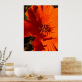 California Poppy - Kalifornien Poppy 6 Poster (Küche)