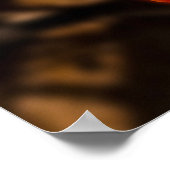 California Poppy - Kalifornien Poppy 6 Poster (Ecke)