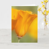 California Poppy Karte (Gelbe Blume)