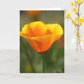 California Poppy Karte (Gelbe Blume)