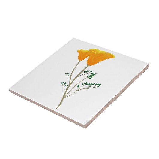 California Poppy Keramik Tile Fliese (Seite)
