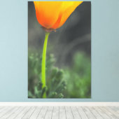 California Poppy Leinwanddruck (Insitu (Holzboden))