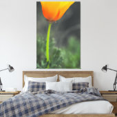California Poppy Leinwanddruck (Insitu (Schlafzimmer))