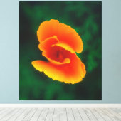 California Poppy Leinwanddruck (Insitu (Holzboden))