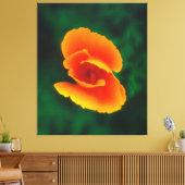 California Poppy Leinwanddruck (Insitu (Wohnzimmer))