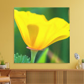 California Poppy Leinwanddruck (Insitu (Wohnzimmer))