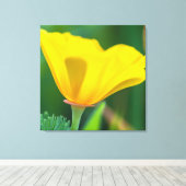 California Poppy Leinwanddruck (Insitu (Holzboden))