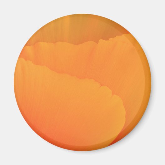 California Poppy Magnet (Vorne)