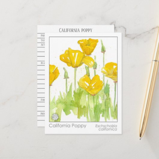 California Poppy Materia Medica Kräuterstudie Postkarte (Vorderseite/Rückseite Beispiel)