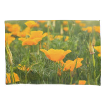 California Poppy Patch Foto
