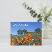 California Poppy, Postcard Postkarte (Stehend Vorderseite)