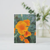 California Poppy Postkarte (Stehend Vorderseite)