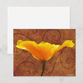 California Poppy Postkarte (Vorne/Hinten)