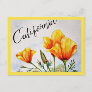 California Poppy Postkarte