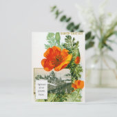 California Poppy Postkarte (Stehend Vorderseite)