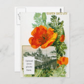 California Poppy Postkarte (Vorne/Hinten)
