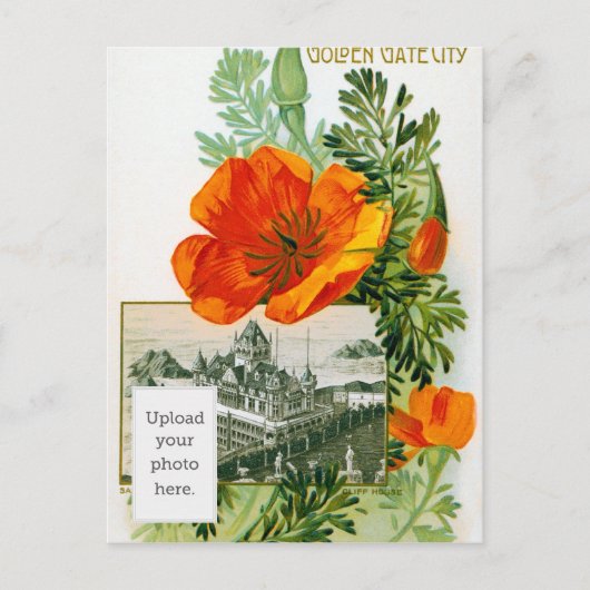 California Poppy Postkarte (Vorderseite)