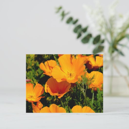 "California Poppy" Postkarte (Stehend Vorderseite)
