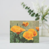 California Poppy Postkarte (Stehend Vorderseite)