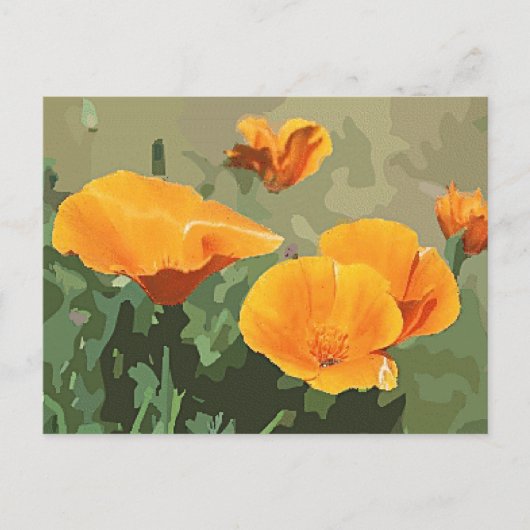 California Poppy Postkarte (Vorderseite)