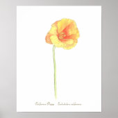 California Poppy Print, Value Poster Paper (Matte) (Vorne)