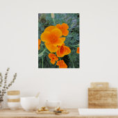California Poppy Staat Blume Poster (Küche)