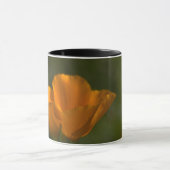 California Poppy Tasse (Zentrum)