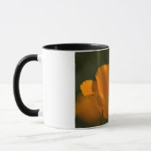 California Poppy Tasse (Links)