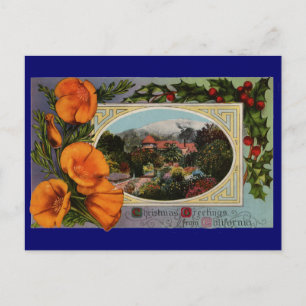 California Poppy Vintage Feiertagspostkarte