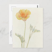 California Poppy von Margaret Armstrong Postkarte (Vorne/Hinten)