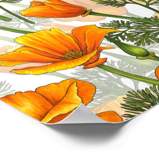 California Poster (Ecke)