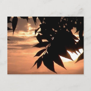 California Postkarte
