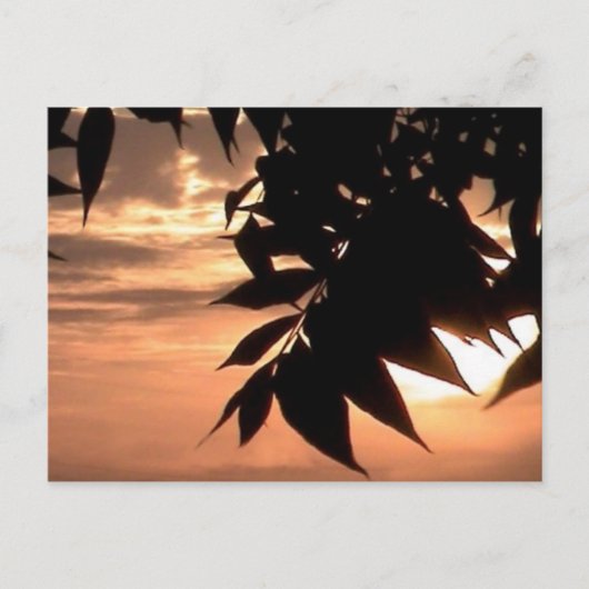 California Postkarte (Vorderseite)