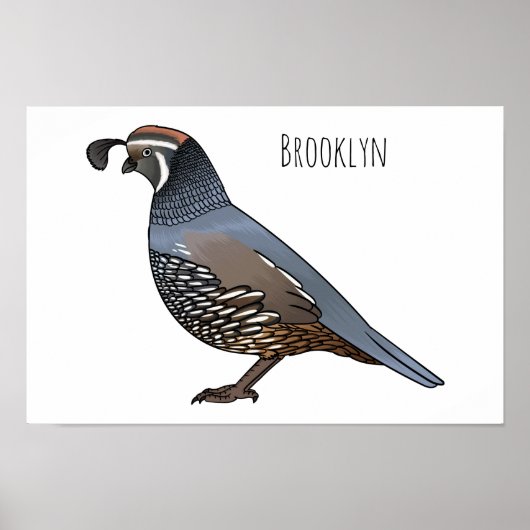 California quail bird cartoon illustration poster (Vorne)