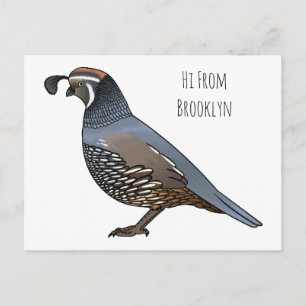 California quail bird cartoon illustration  postkarte