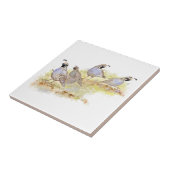 California Quail Bird Familienart Fliese (Seite)