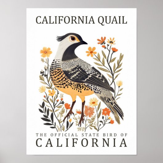 California Quail Bird of California USA Travel Poster (Vorne)