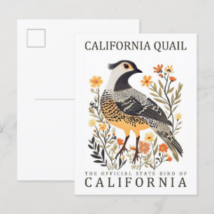 California Quail Bird of California USA Travel Postkarte