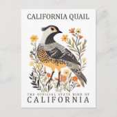 California Quail Bird of California USA Travel Postkarte (Vorderseite)