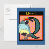 California Quail Bird Postkarte (Vorne/Hinten)