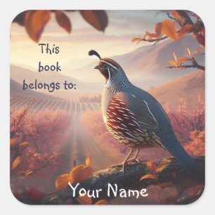 California Quail Birds Dieses Buch gehört Buchzeic Quadratischer Aufkleber
