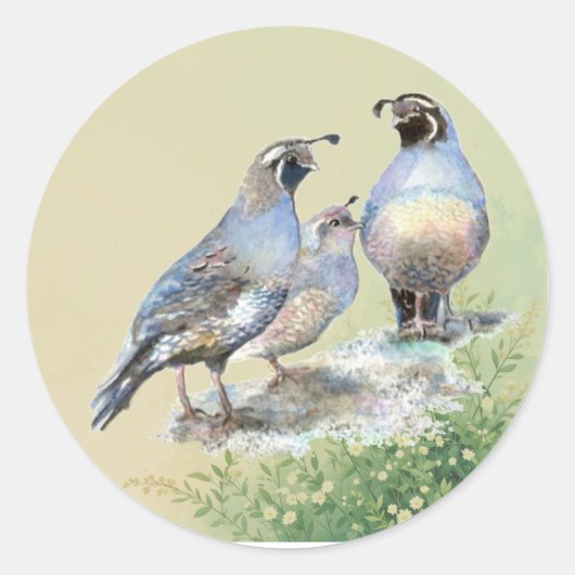 California Quail Birds Watercolor Art Runder Aufkleber (Vorderseite)